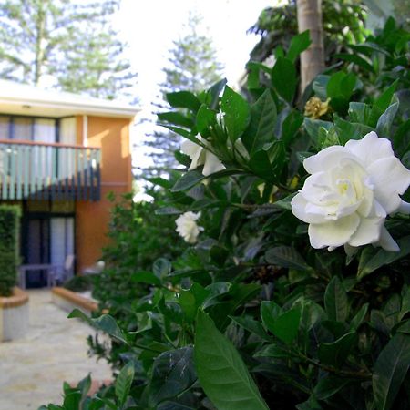 The Crest Byron Bay Aparthotel Εξωτερικό φωτογραφία